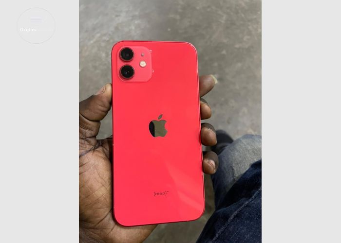  iPhone 12