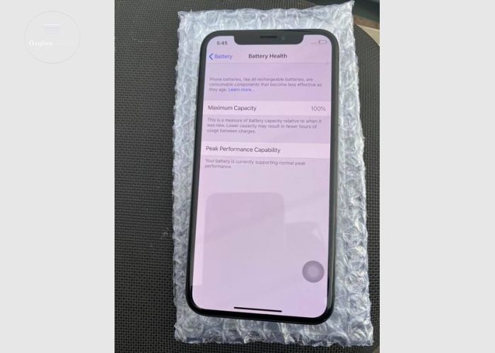  iPhone X 256GB