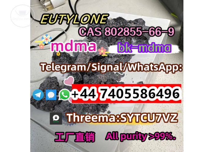 Listing Fallback Image