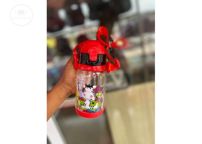 Disney water bottle