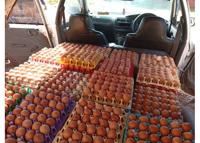 Fresh Farm Eggs