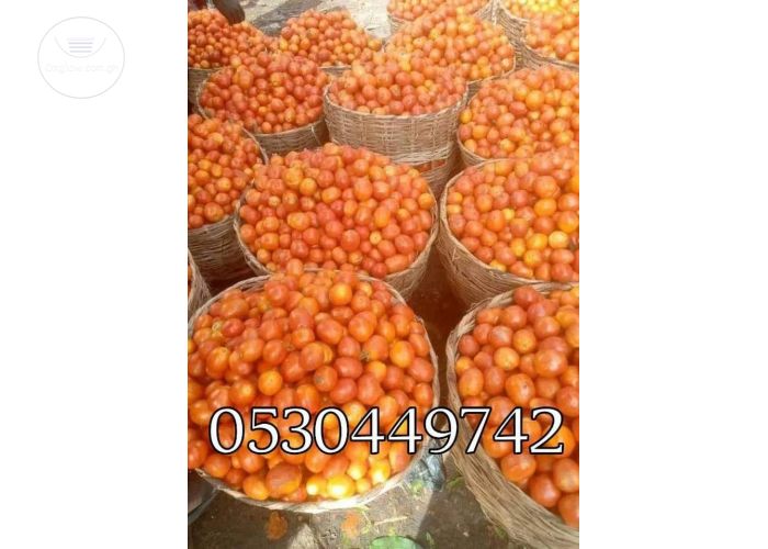 Fresh vegetables