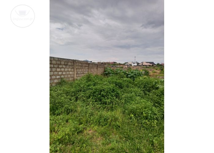 Listing Fallback Image