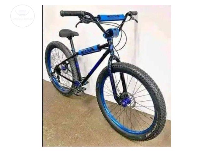Original Bicycle