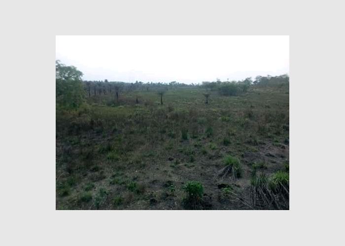 Farming land for sale