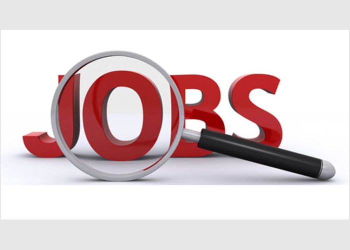 Jobs Vacancy at Insurance Company