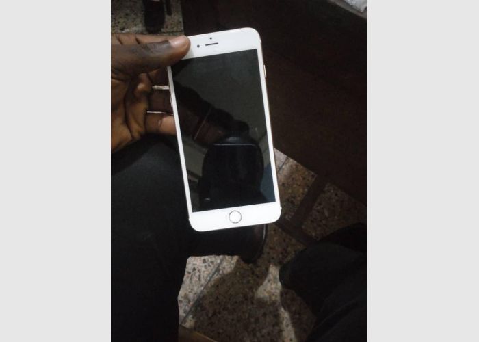 iPhone 6 and 6 Plus