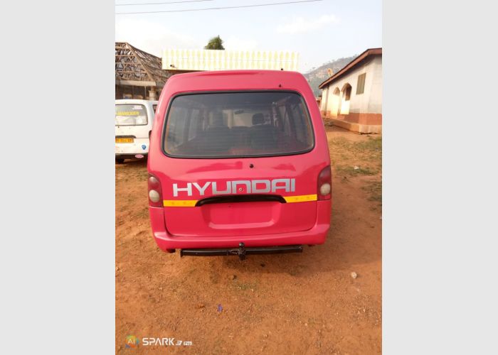 Hyundai Grace H-100
