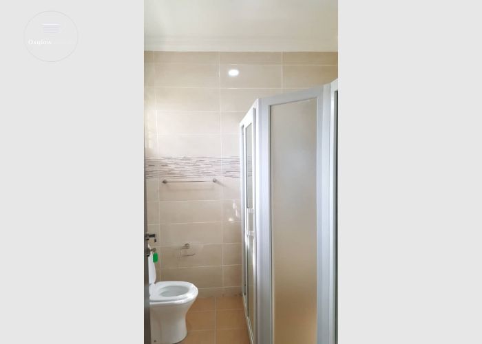 3 bedroom house for rent