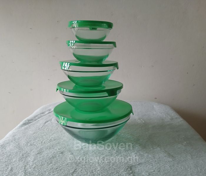 5 in 1 Glass Storage Bowls