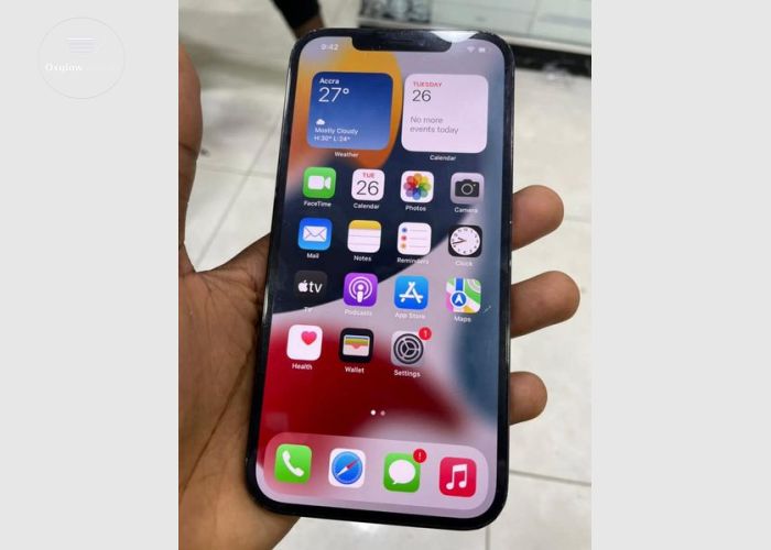 Apple iPhone 12 Pro Max 
