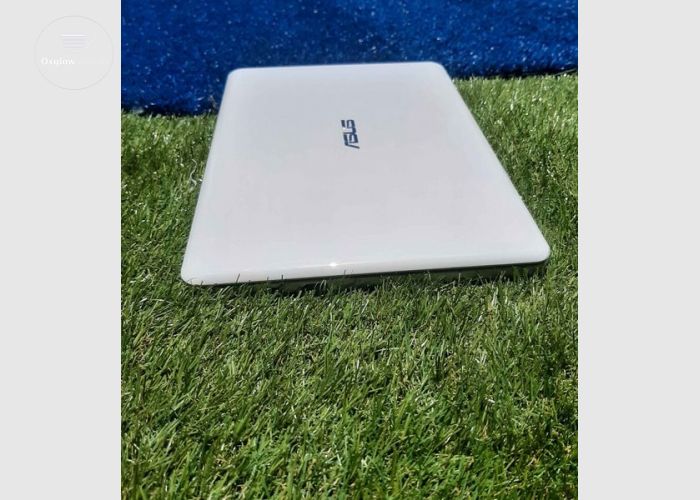 Asus Mini Laptop