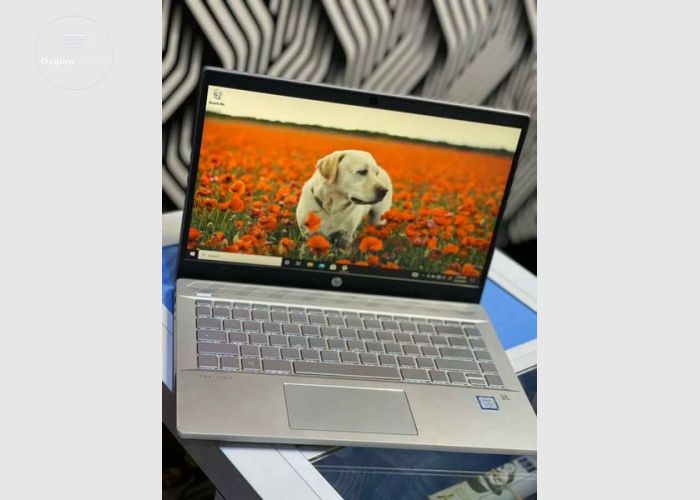 HP Pavilion 14 Laptop