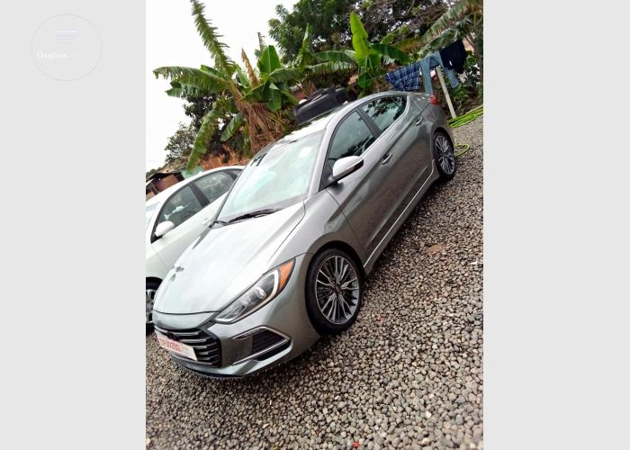 Hyundai Elantra Sports 2018 Model