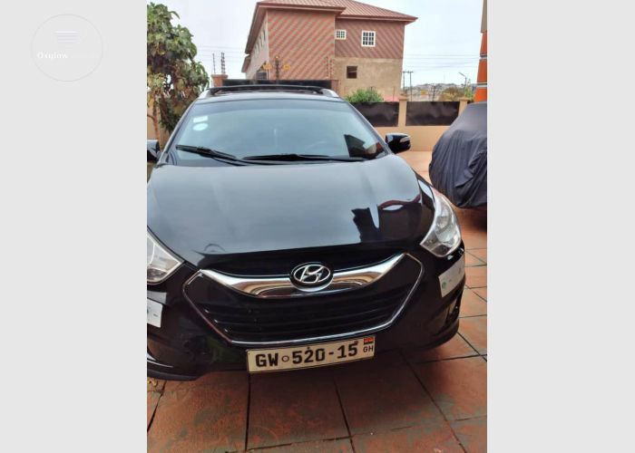 Hyundai Tucson Limited 2010 Model
