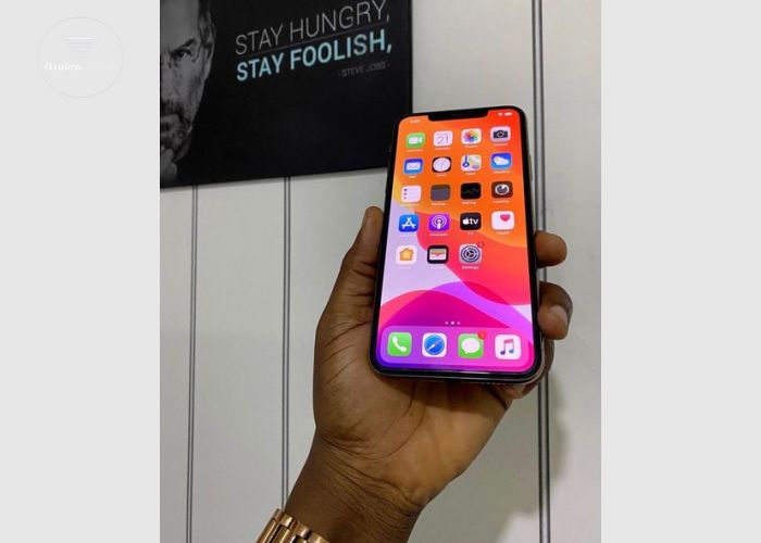iPhone 11 Pro Max 256Gb