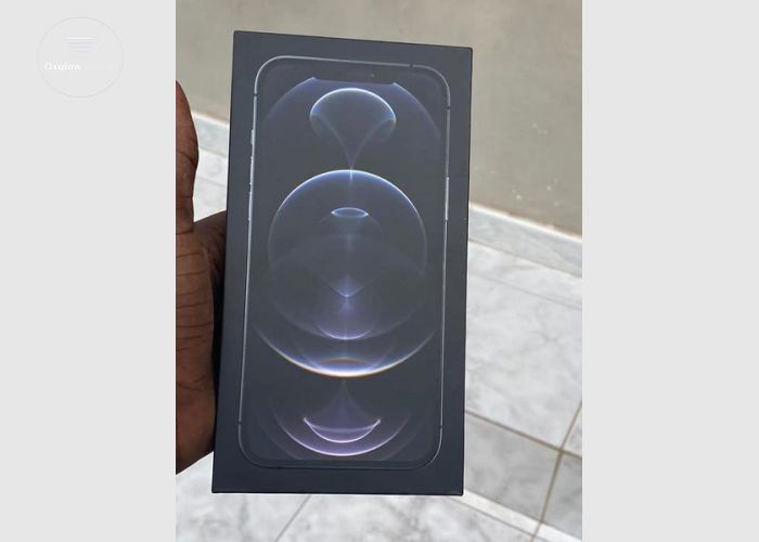 iPhone 12 Pro Max 256Gb