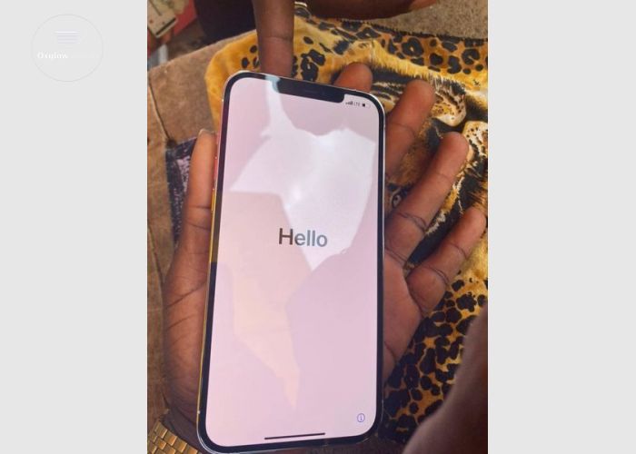 iPhone 12 Pro Max 256Gb