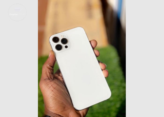 iPhone 12 Pro Max 512Gb