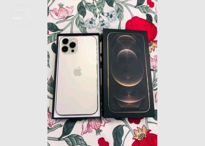 iPhone 12 Pro Max 512Gb