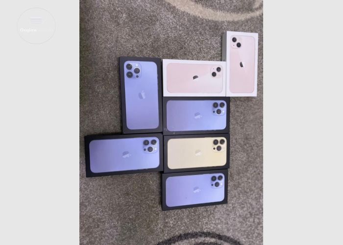 iPhone 13 Pro Max