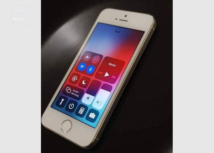 iPhone 5s
