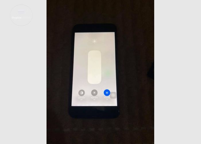 iPhone 8 Plus 256GB 