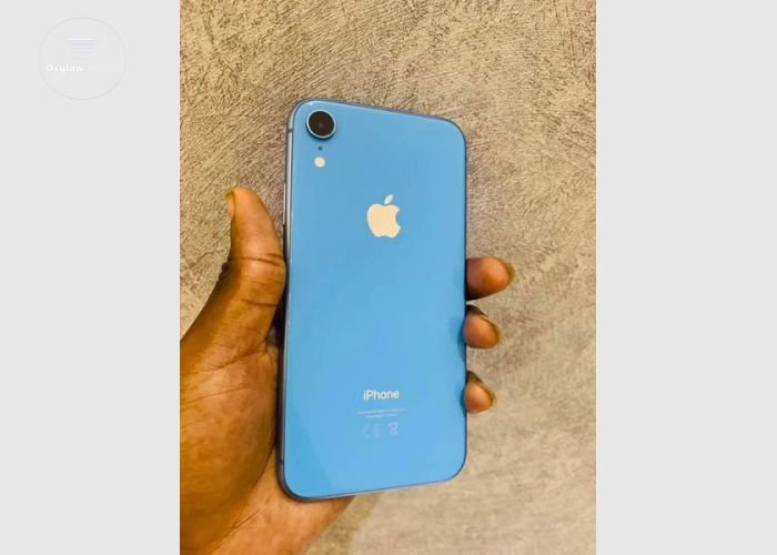 iPhone XR
