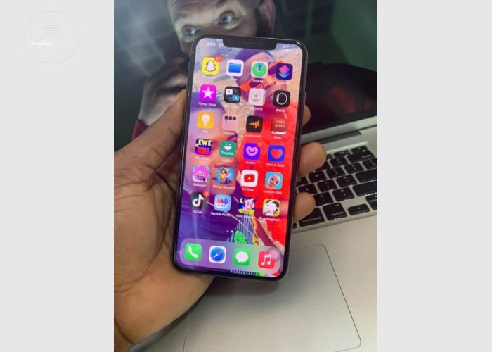 iPhone XS Max 256Gb
