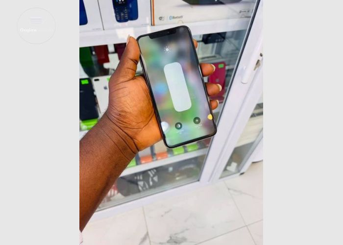 iPhone XS Max 256Gb
