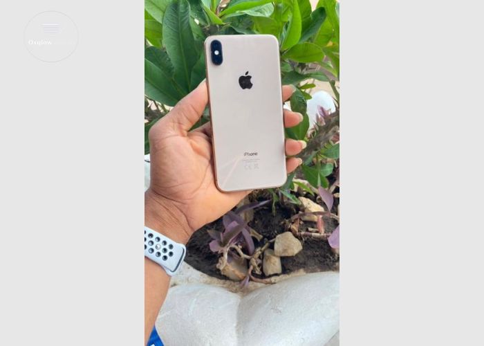 iPhone XS Max 64Gb