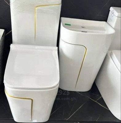 Modern WC 