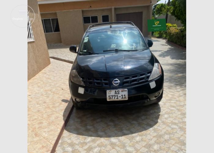 Nissan Murano 2004 Model