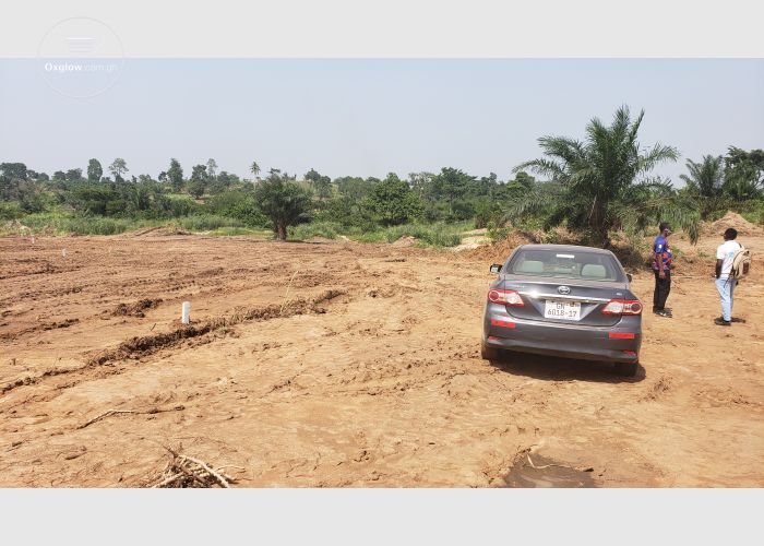 Listing Fallback Image