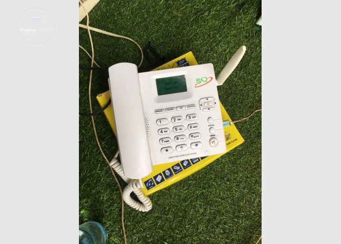 SQ LS 960 Wireless Telephone