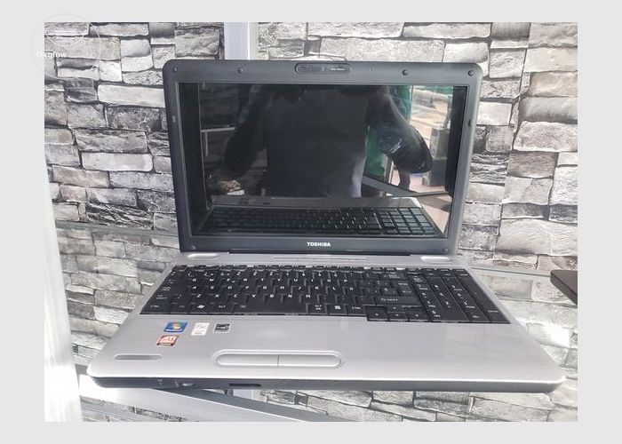 Toshiba Satellite Pro L500