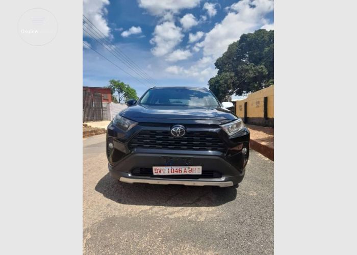 Toyota RAV4 XLE 2019 Model