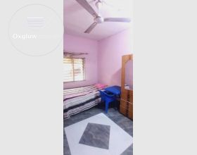  Full furnished room available