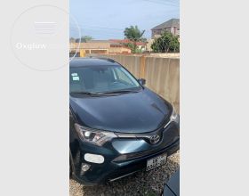  Rav4 XLE 2017