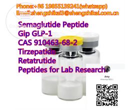  Semaglutide Weight Loss Injections Peptide CAS No. 910463-68-2 