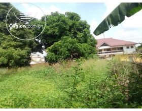 1 plot of land