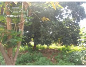 1 PLOT OF LAND