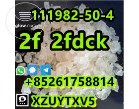2f 2fdck high purity 111982-50-4