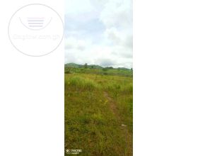 4 PLOTS(1 ACRE) OF LAND
