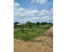 4 PLOTS OF REGISTERED LAND AVAILABLE FOR SALE AT LASHIBI, NEAR EMEF ESTATE