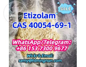 40054-69-1 Etizolam