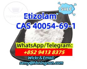 40054-69-1,Etizolam powder,high quality