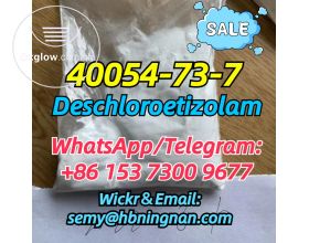 40054-73-7 Deschloroetizolam