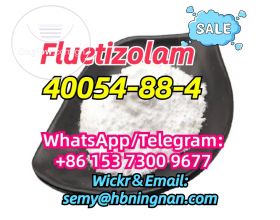 40054-88-4 Fluetizolam