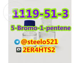5-Bromo-1-pentene High Purity CAS 1119-51-3